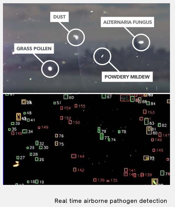 Airborne pathogen detection technology for controlled environment agriculture