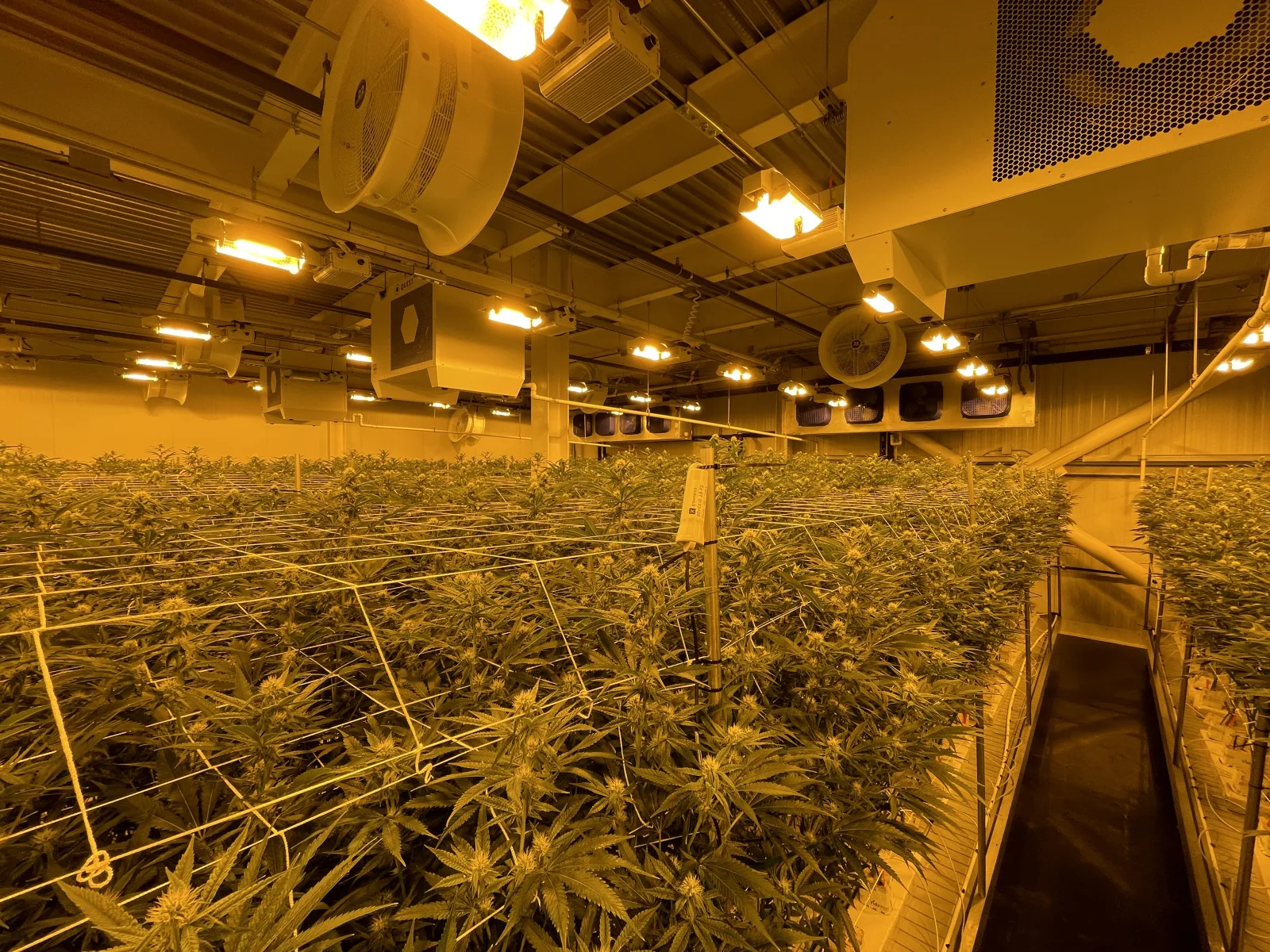 Cure Company control room showing commercial cultivation environmental controls