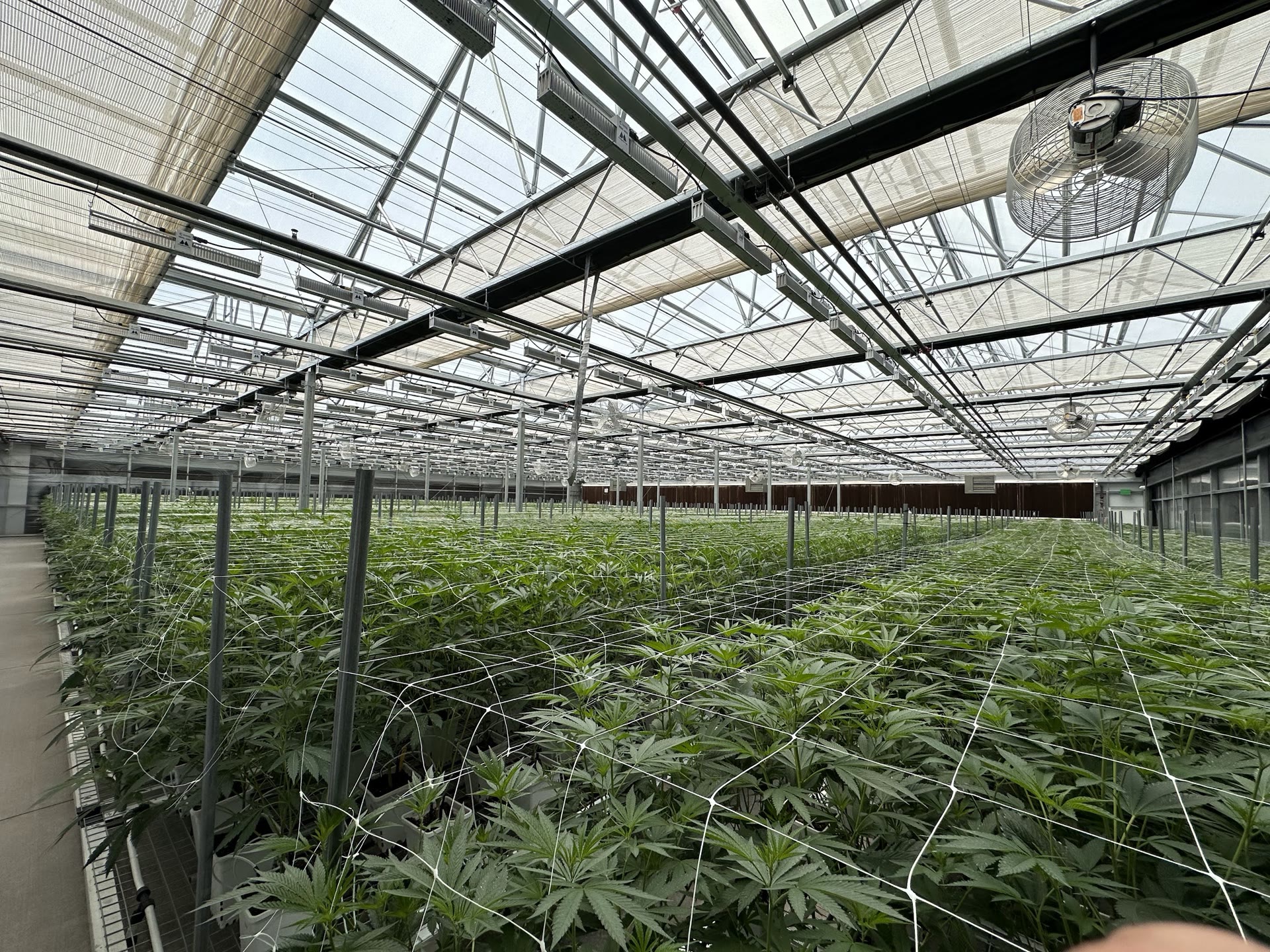 Greenhouse cultivation environment