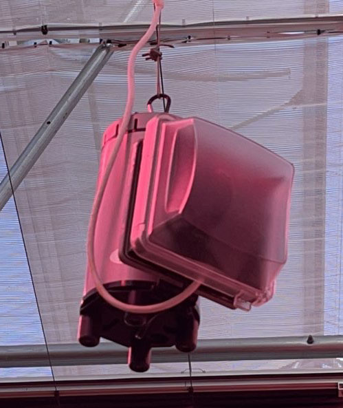 Aspergillus Detection Kit